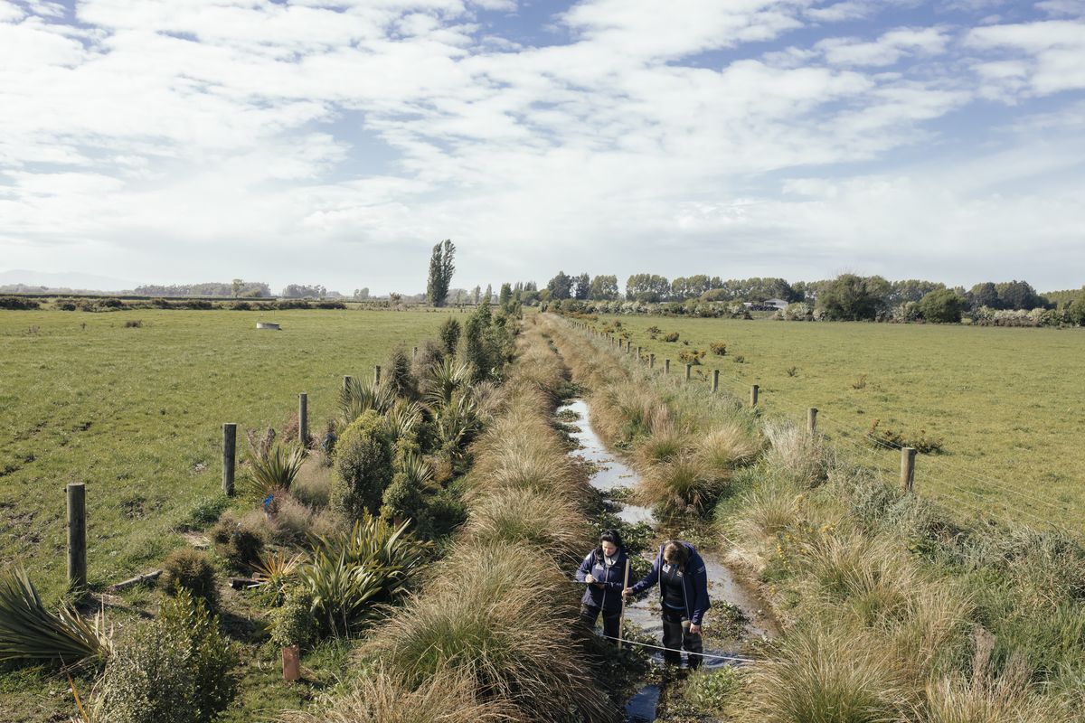 CAREX Katie and Catherine in stream