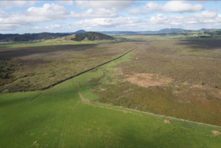 Otakairangi aerial mapping, June 2016 