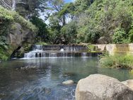 fish passage barrier Taranaki