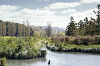 Freshwater Biodiversity Corridor Project