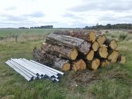 big logs