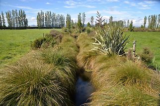 Economic Evaluation of National-Scale Lowland Drainage Restoration