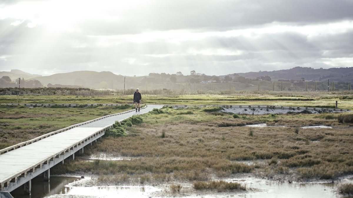 Case studies and resources