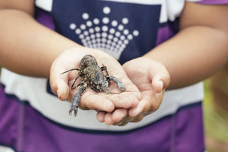 Engaging with schools