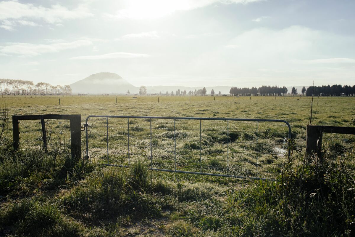 Wairua farm gate