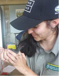 rose holding crake