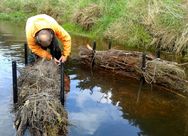 Waituna Creek bundles being installed