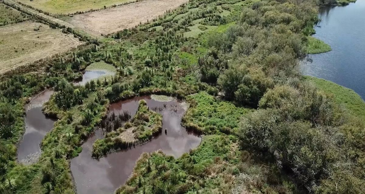 silt traps