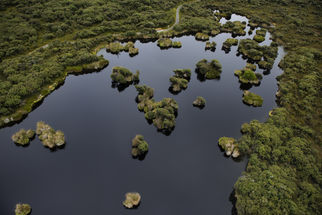 Ecosystem Services Project Report July 2017
