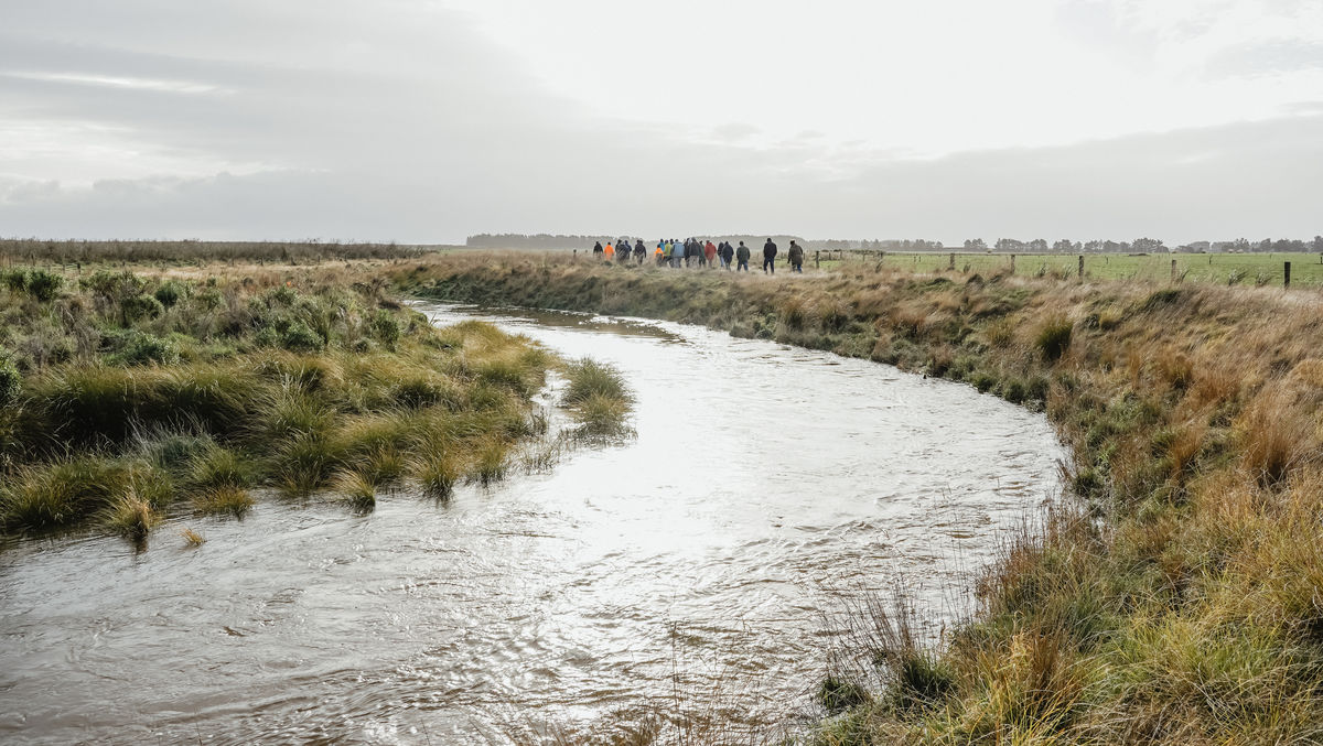 Waituna creek hui 2022