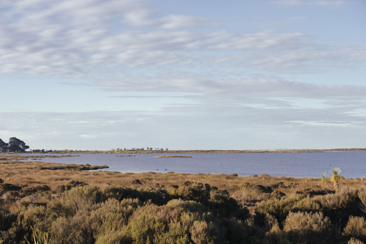Overlooking Waituna Lagoon