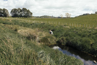 Floating Wetlands Trial