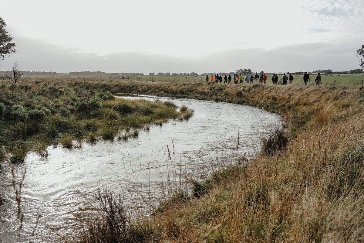 Waituna creek 2022