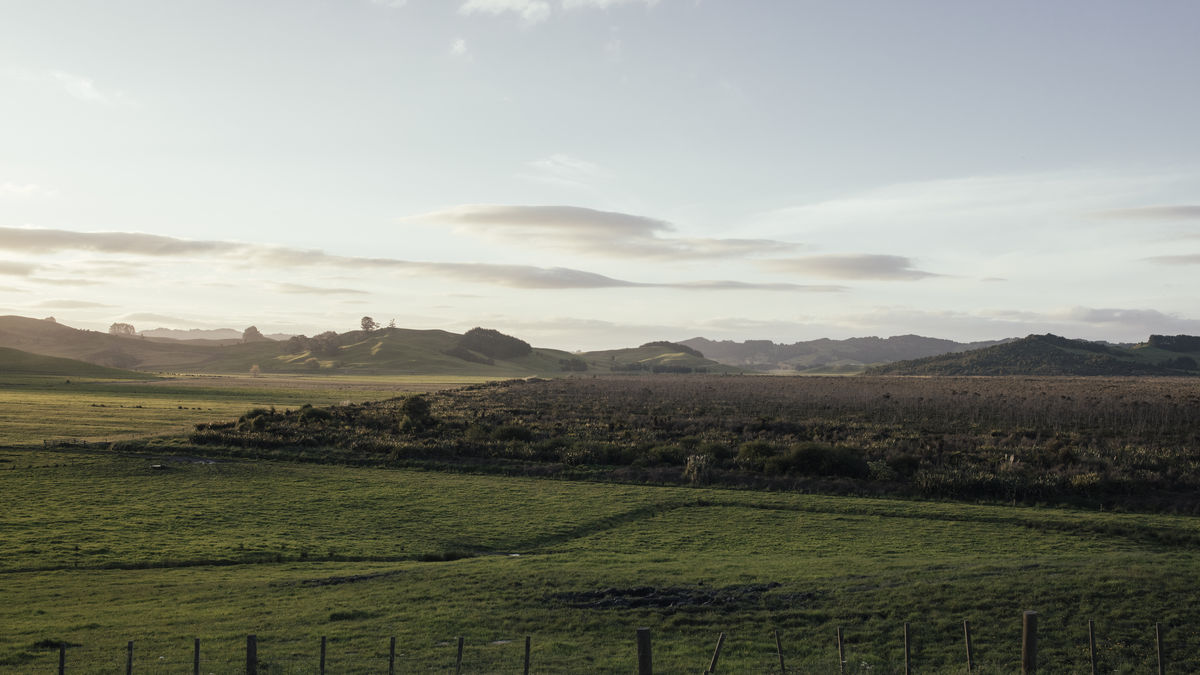 Wairua River/Te awa o Wairua