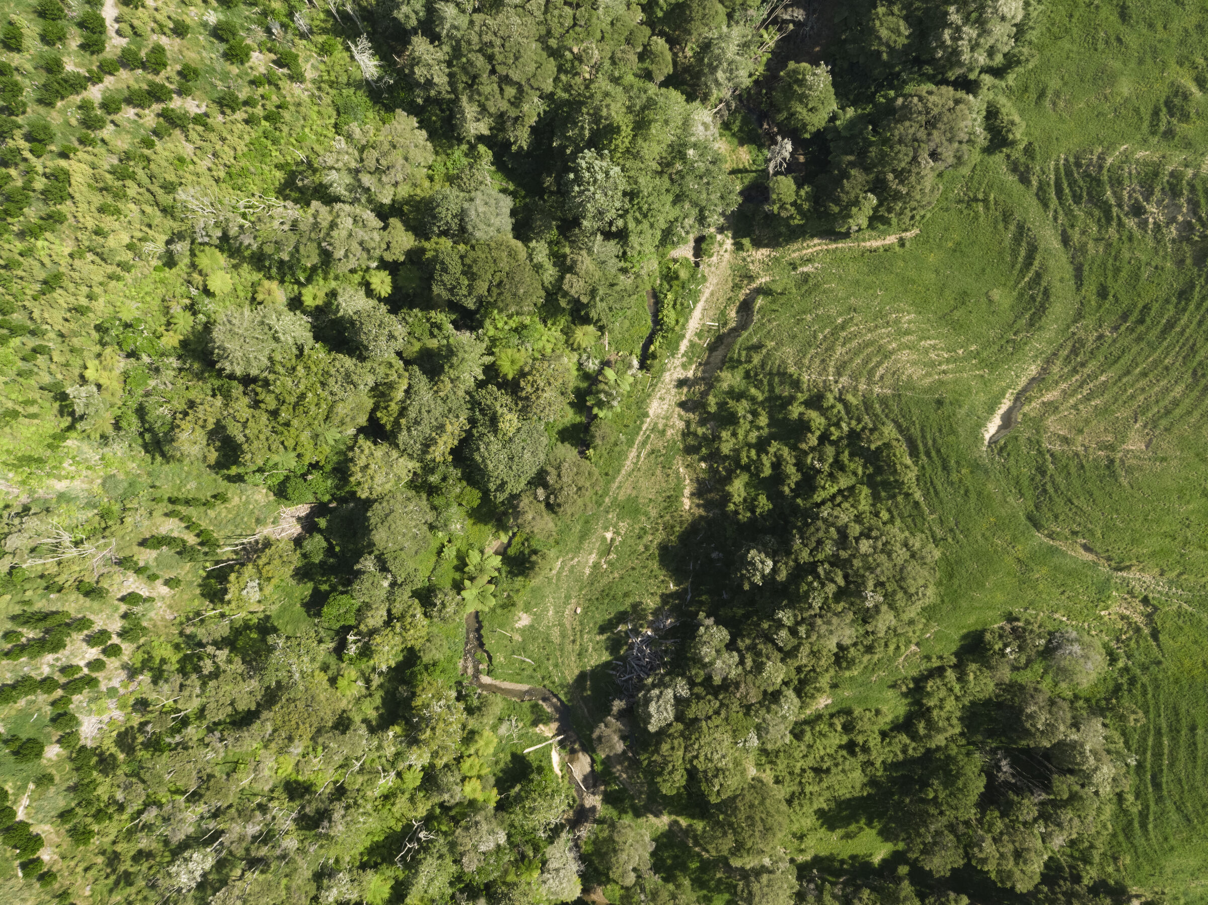 Datadriven solutions for freshwater improvement • Living Water