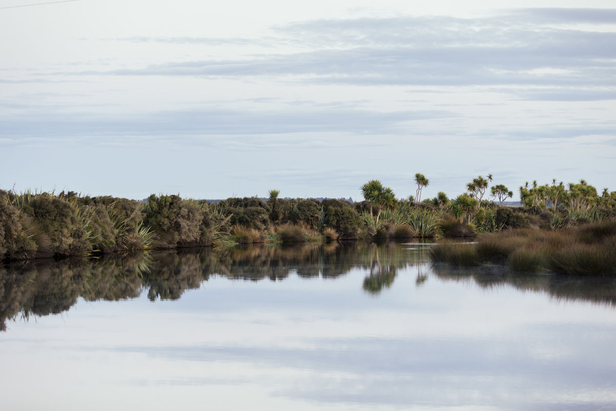 Reflections on Waituna Lagoon