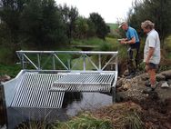 Koi Carp Barrier