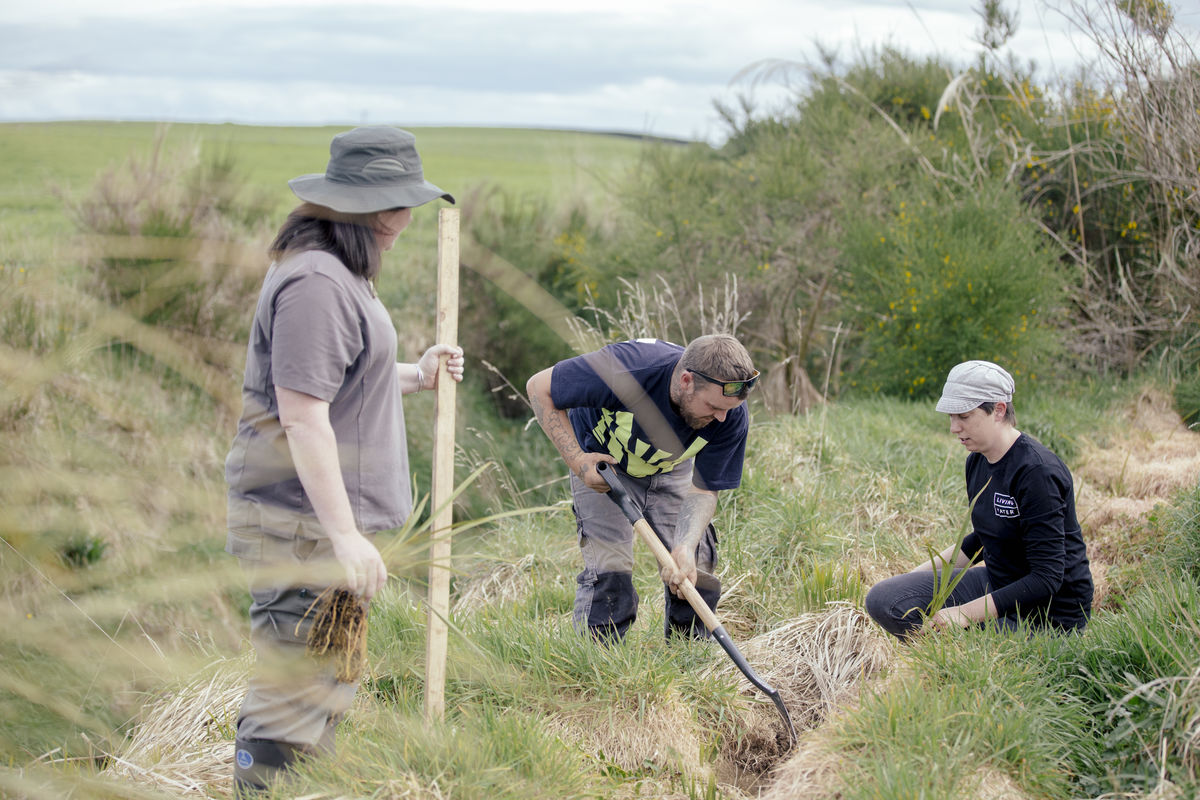 Living Water team planting in Waituna