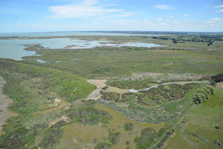 Yarrs Flat Ecological Restoration Plan - 2016