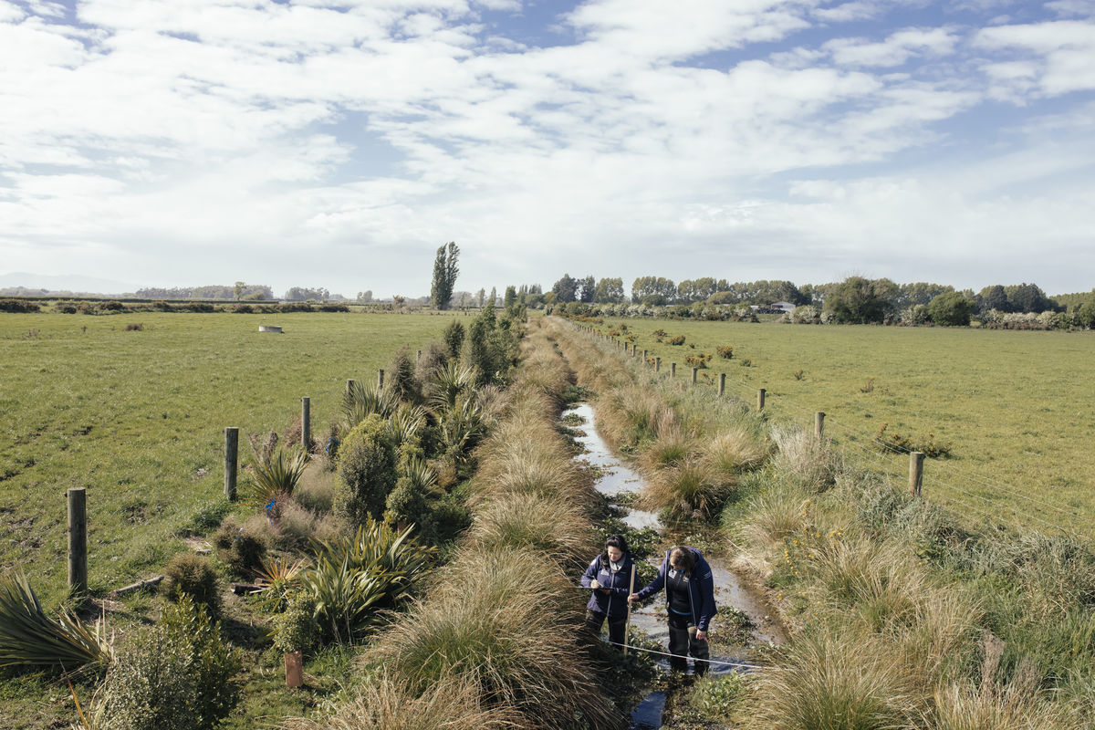 Designing and trialling solutions image – CAREX Team