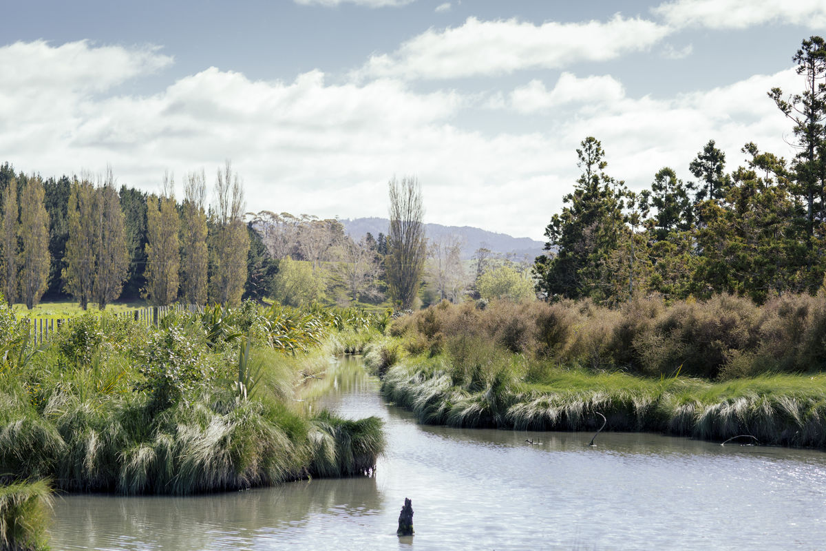 Rangipo reserve