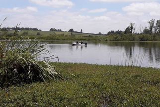 Macrophyte Reintroduction Trial