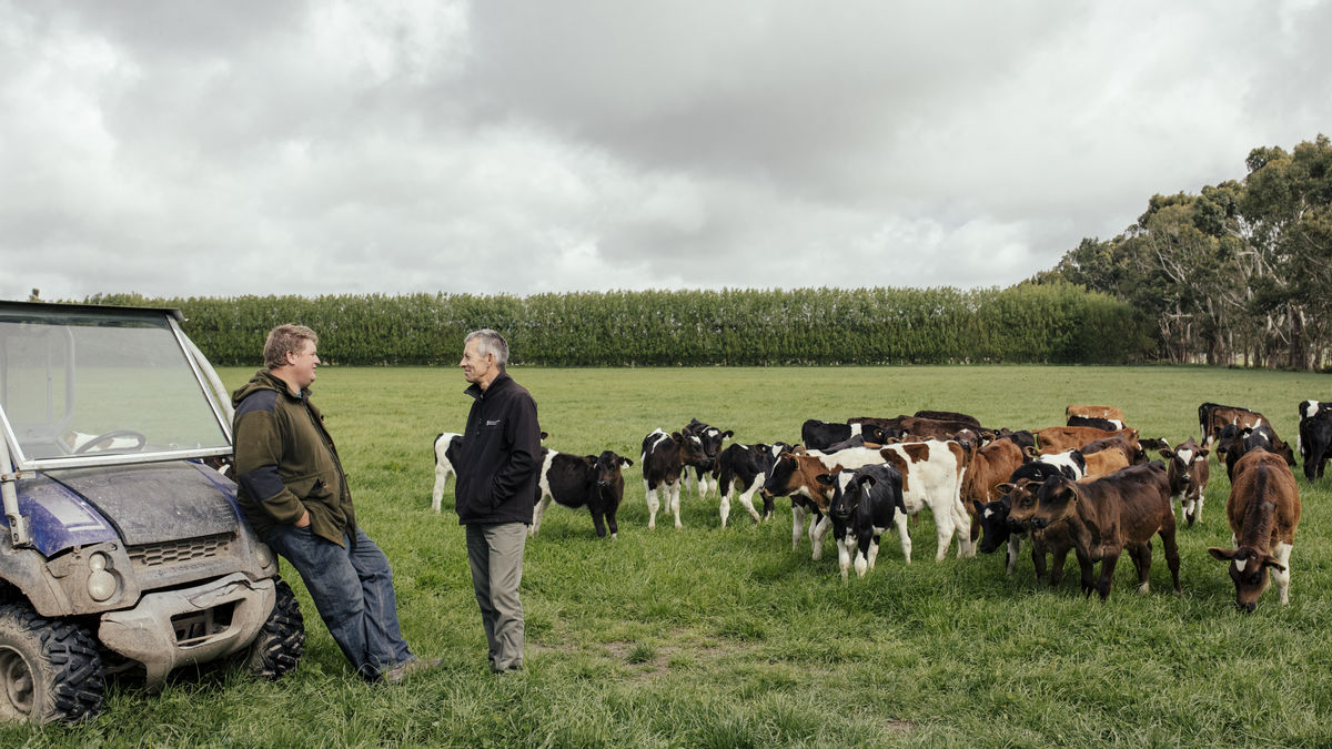 Our progress/Tō mātou Kokenga Whakamua