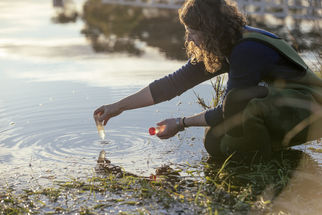 Waituna Lagoon – Monitoring & Evaluation Approach