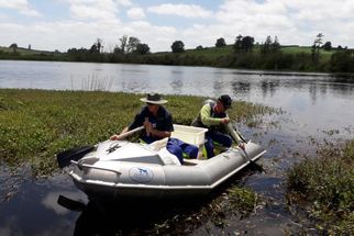 Macrophyte Reintroduction Trial