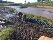 Installation of floating wetlands