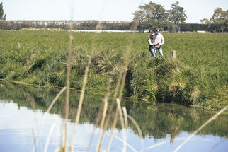 Farm impact reduction