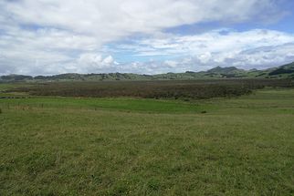 Otakairangi ecohydrological baseline assessment 2017