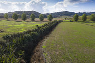 On-farm planting in the Wairua catchment