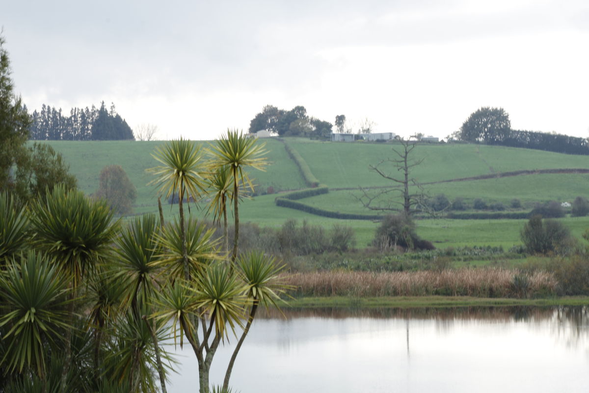 rose and crake