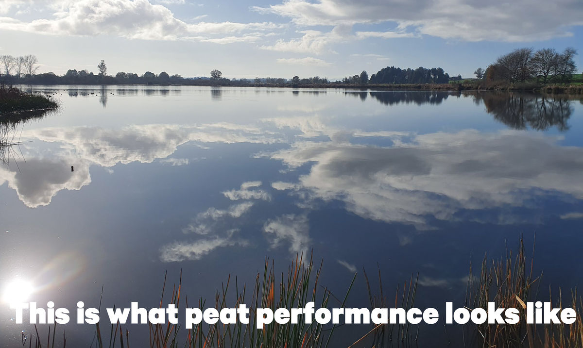 Peat performance
