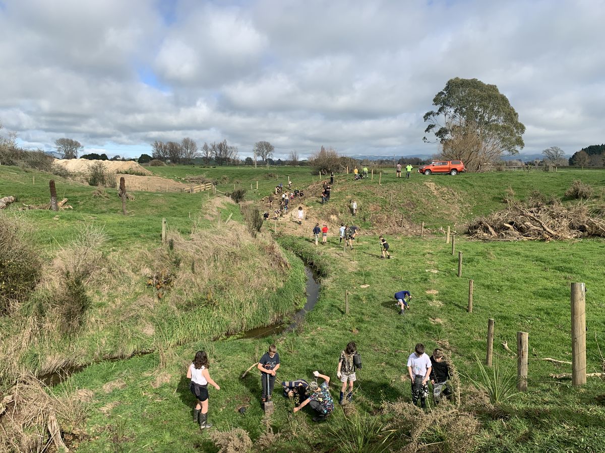 Students planting in Puahue