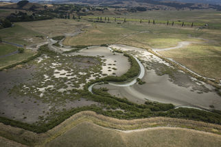 Increasing wildlife habitat areas in a farming landscape