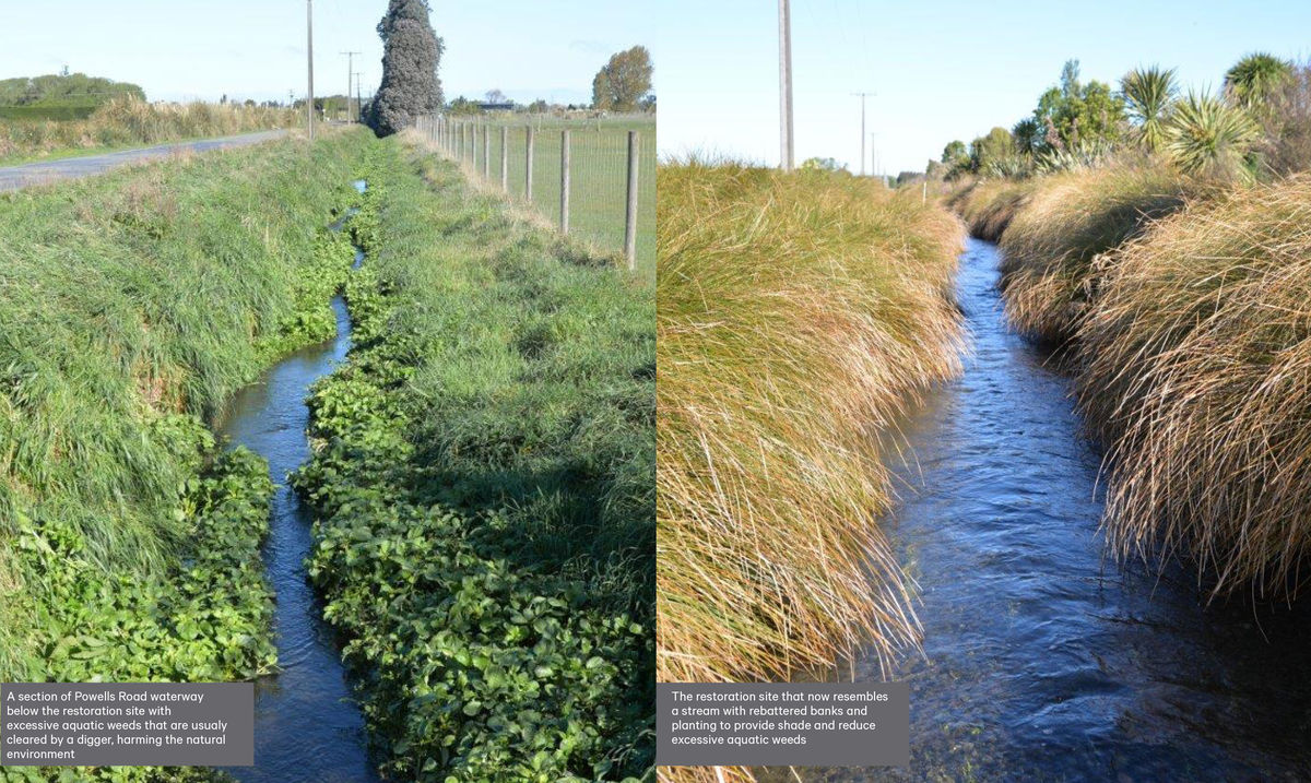 Powells Road side by side image