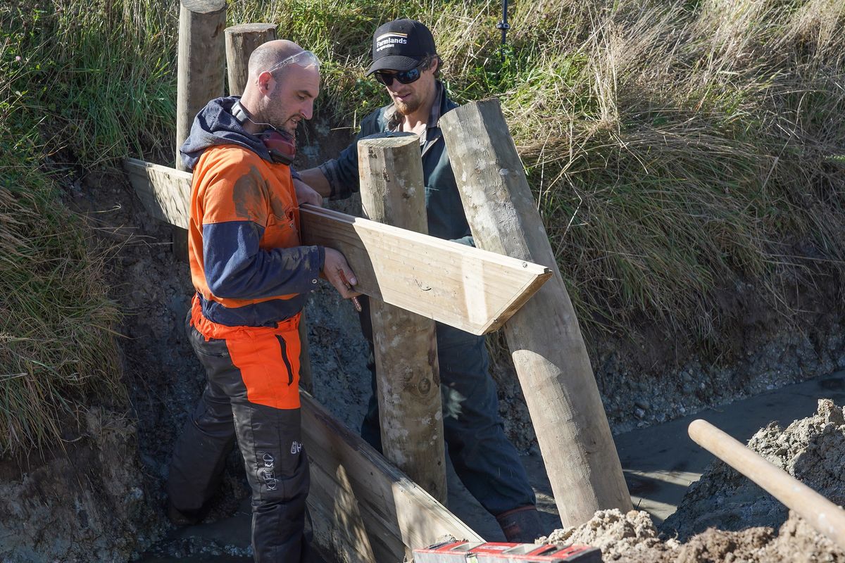Construction of PROC structures