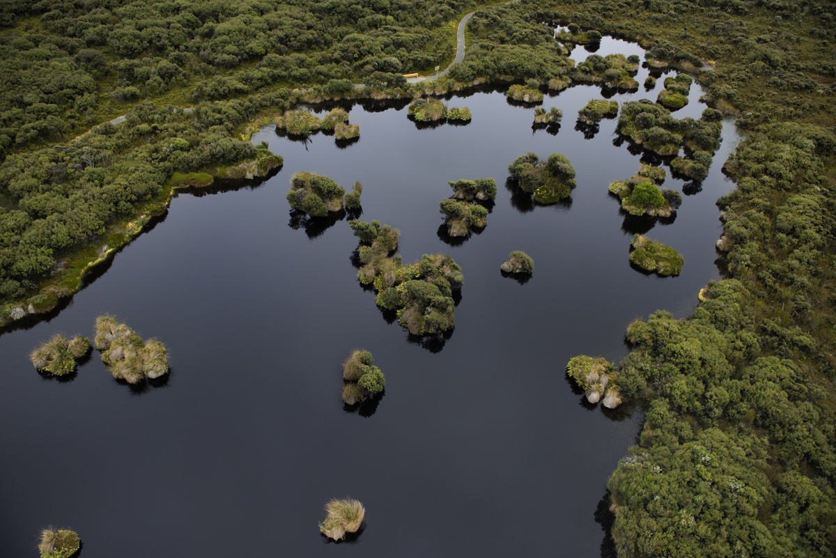 Image of wetlands