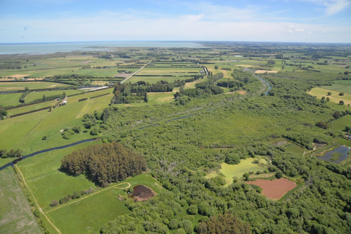 Tārerekautuku aerial image