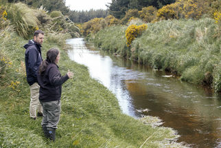 Lower Waituna Creek Transformation Project