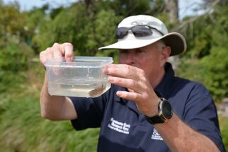 CAREX science contribution to Living Water in the LII/Ararira River from 2018–2020