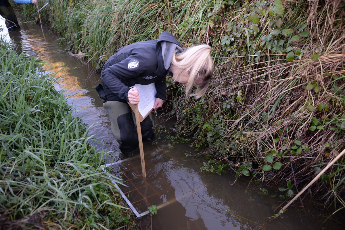 Measuring sediment Ararira
