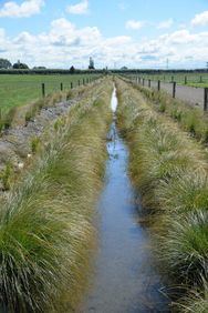 Ararira/LII Bioreactor