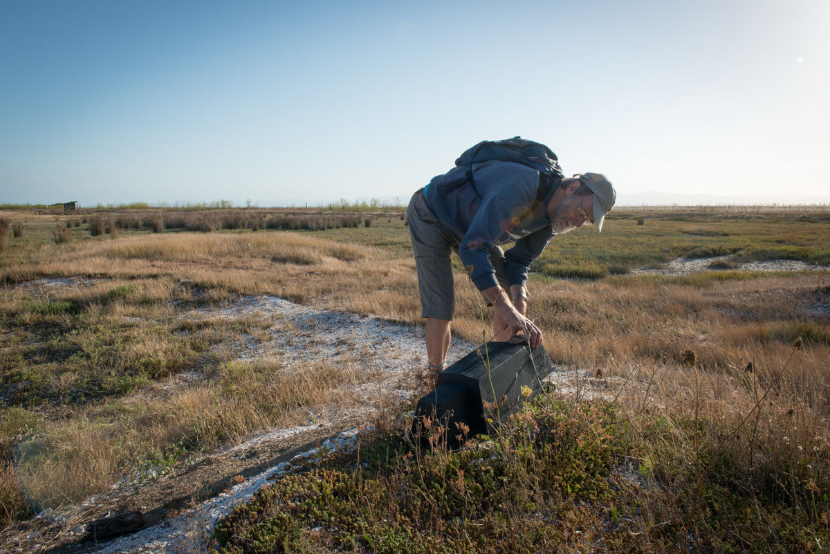 Keith checking trap