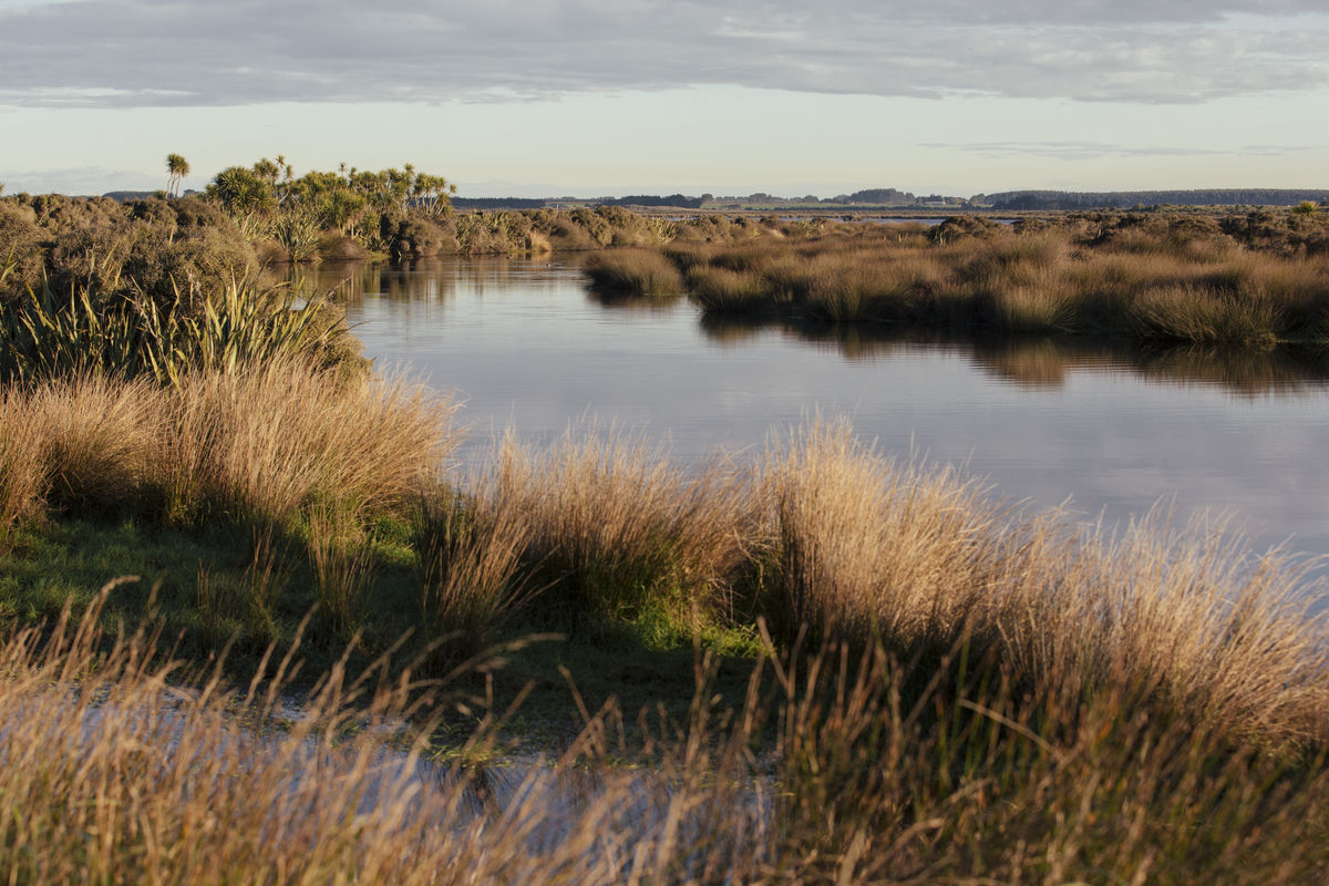Waituna Wetlands