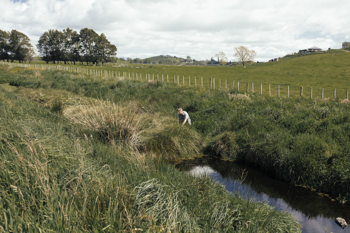 Mike Paviour at mature floating wetlands