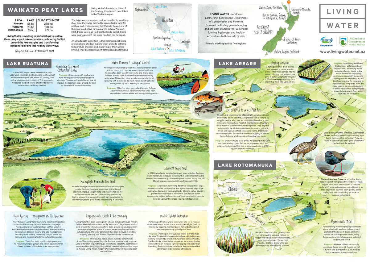 Waikato Peat Lakes illustrated catchment map