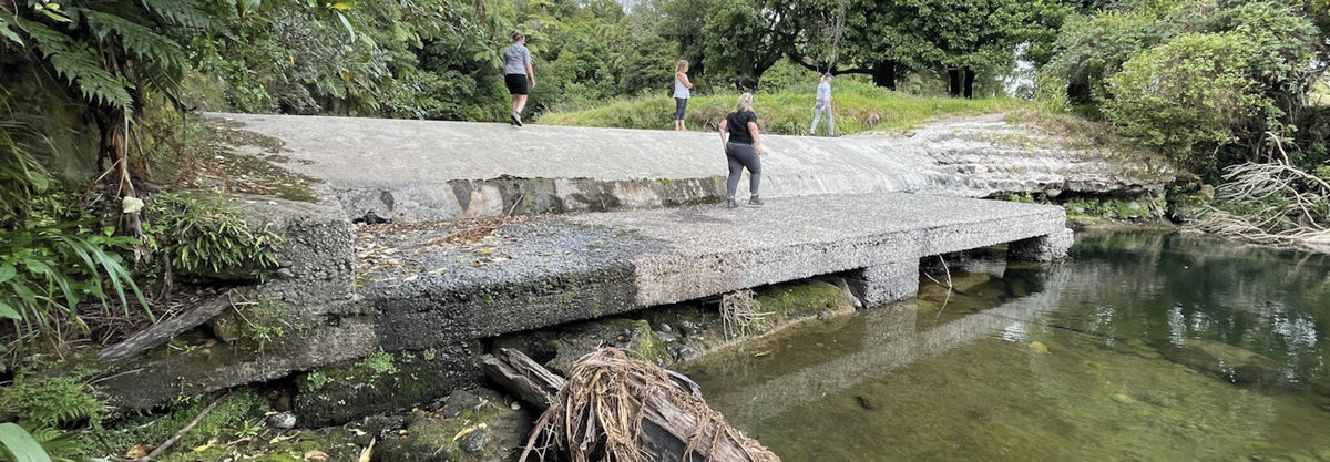 Fish passage barrier Taranaki